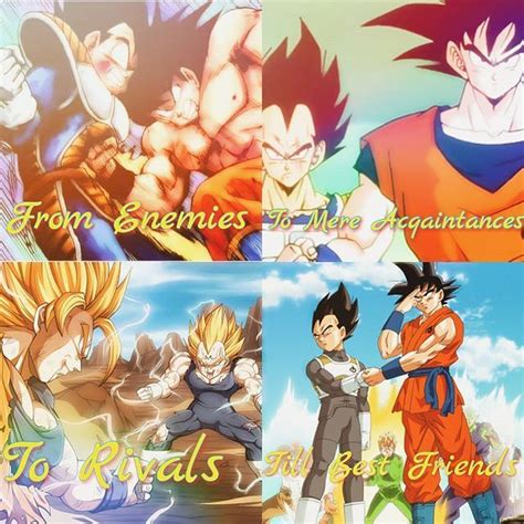 when does goku and vegeta become friends|Union of Rivals .